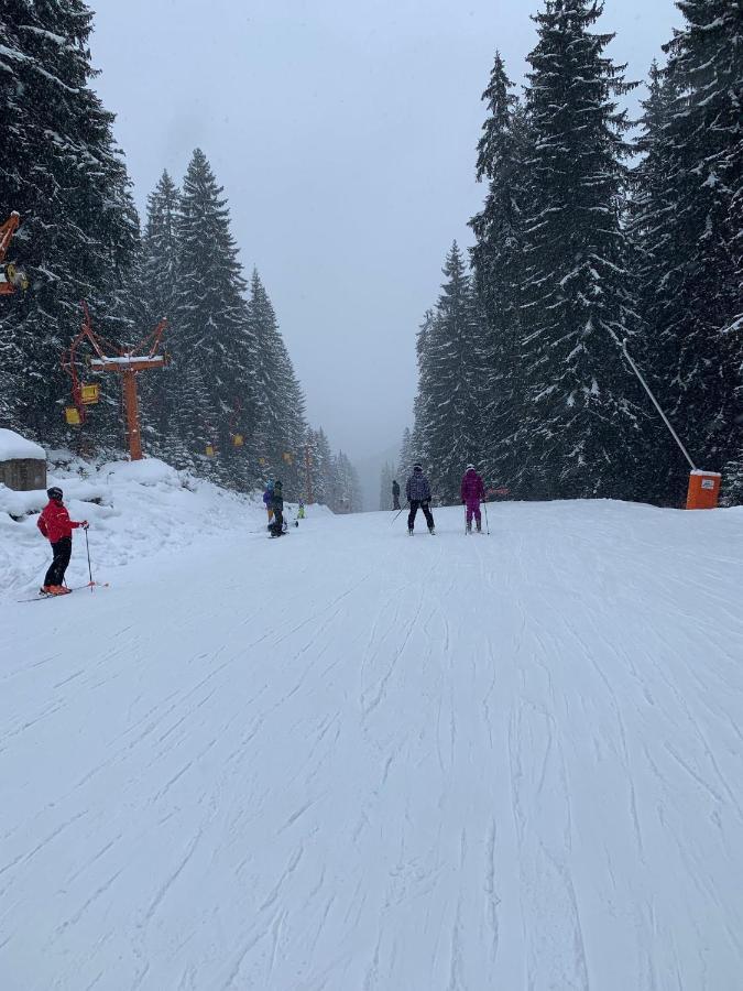 בנסקו Skiing, Walking, Enjoying In Mountains מראה חיצוני תמונה