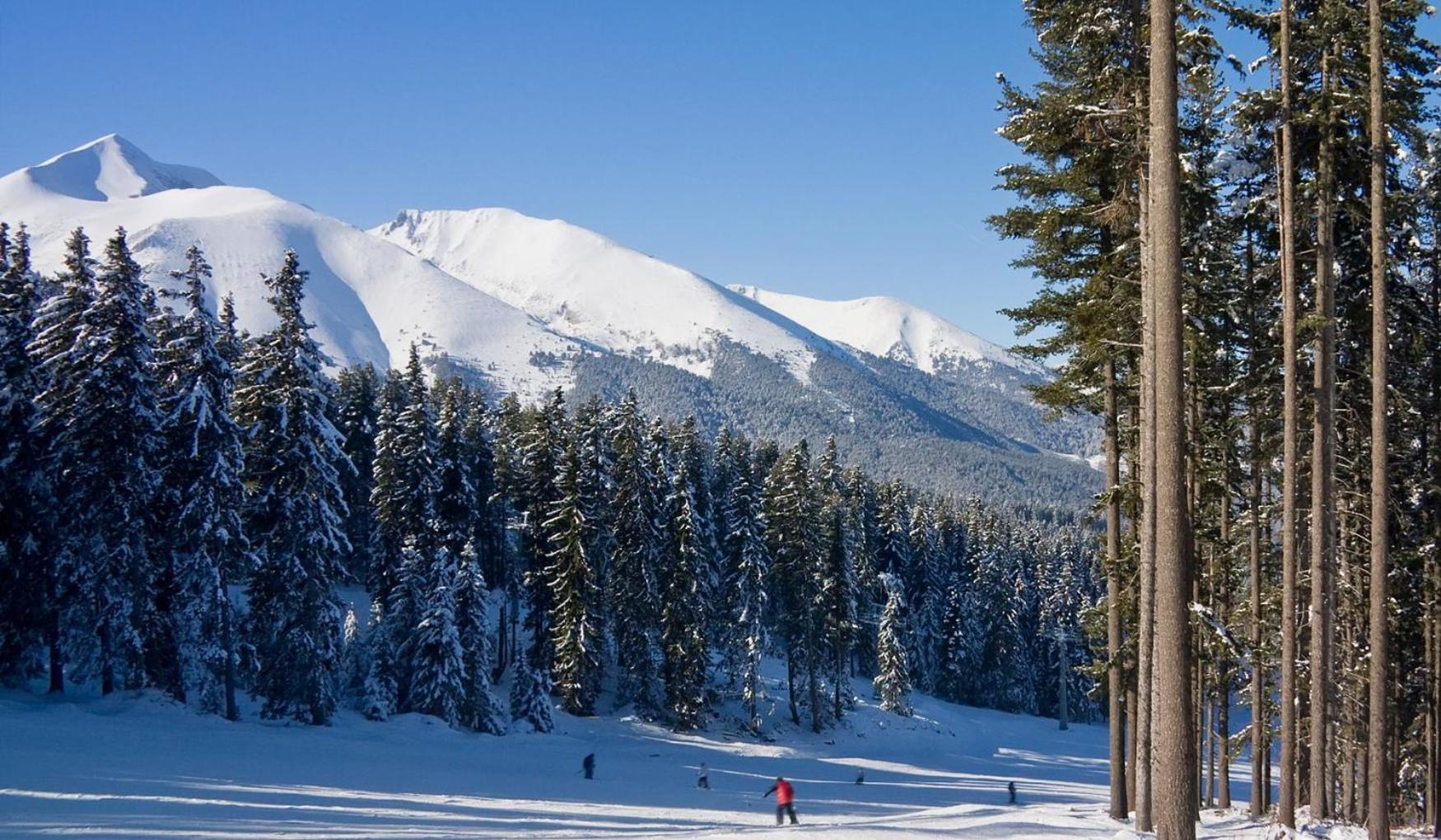 בנסקו Skiing, Walking, Enjoying In Mountains מראה חיצוני תמונה